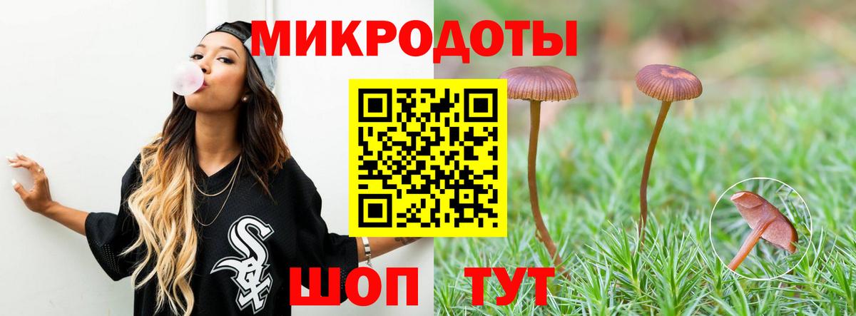 Сафоново  Галлюциногенные грибы прущие грибы  Псилоцибиновые грибы прущие грибы  Вход с VPN 