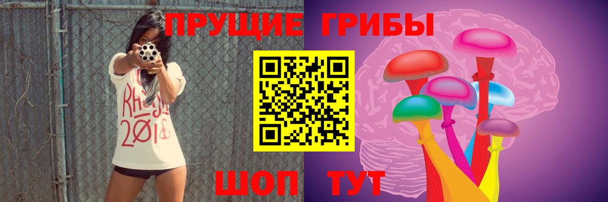 Псилоцибиновые грибы ЛСД Сафоново